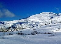 Hest frå Smørklett