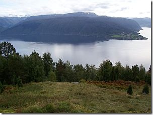 skoparsete skoparsete