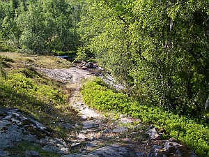 dalhjelda til stokksetesti