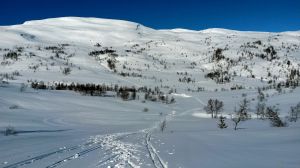 Ski Okslahaugane 000