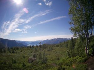 Stokksete etter skiloype 032